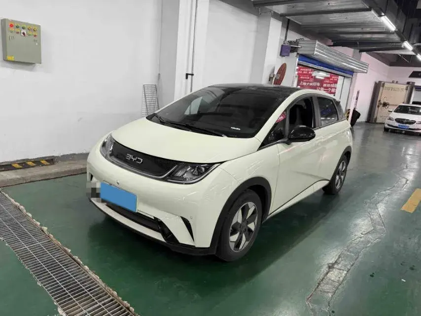 2025 BYD Dolphin BEV 44.928KWH