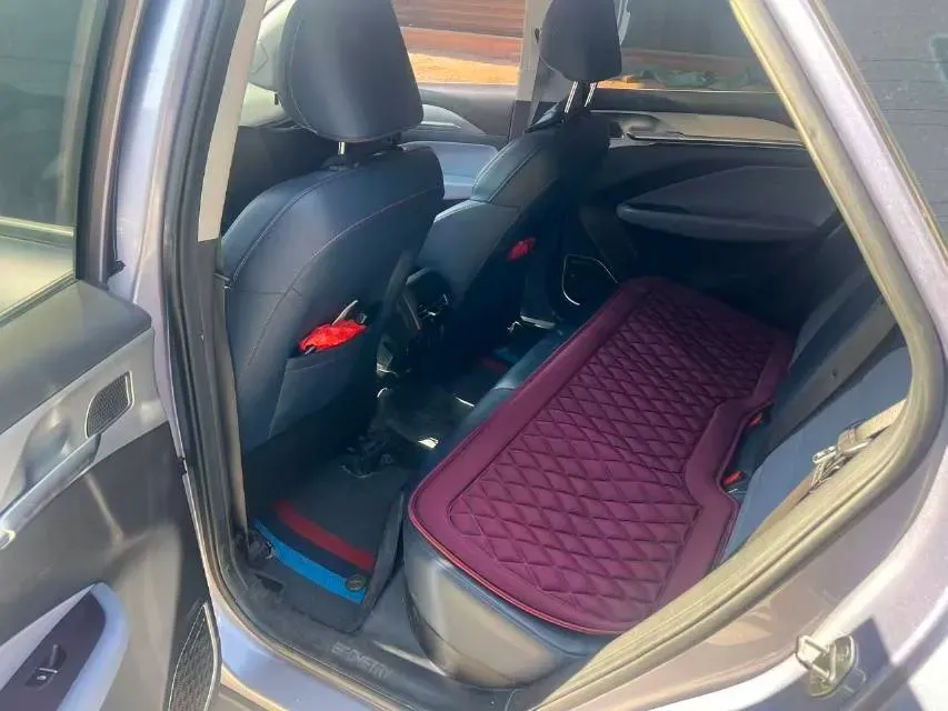 2022 Geometry M6 BEV 53KWH,autocango,china used car exporter,china ev exporter,chinese used car exporter,chinese used ev exporter