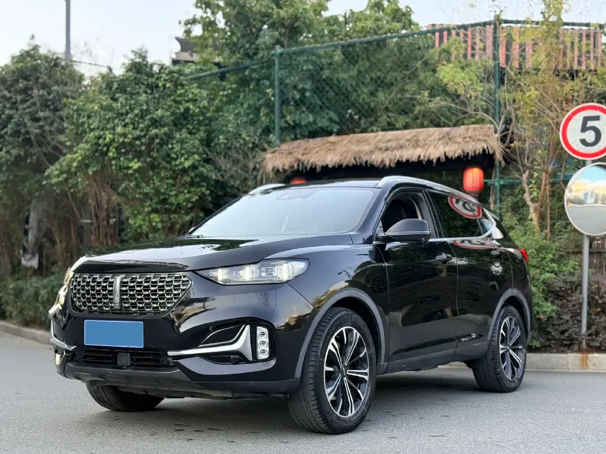 2021 WEY VV6 2.0T 227HP L4 7DCT