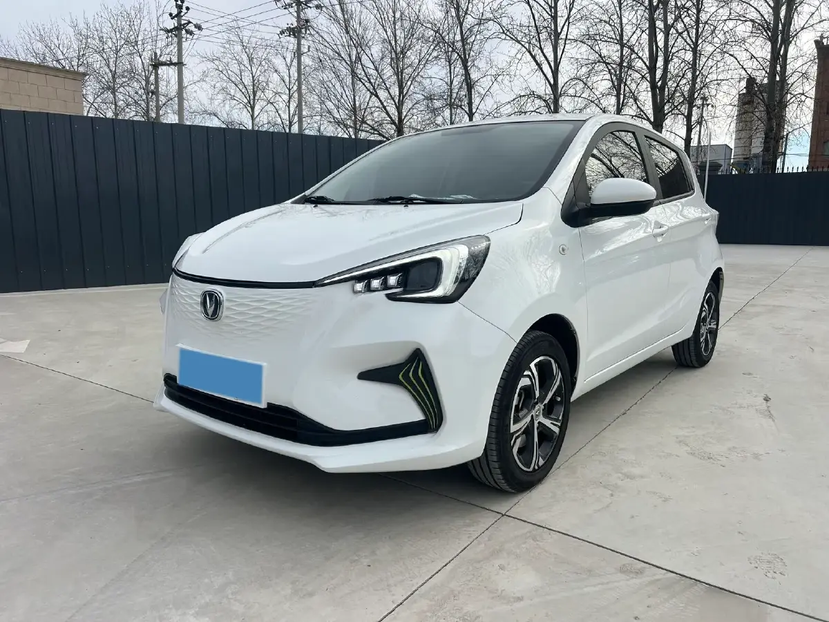 2022 ChangAn BenBen E-Star BEV 31.95KWH