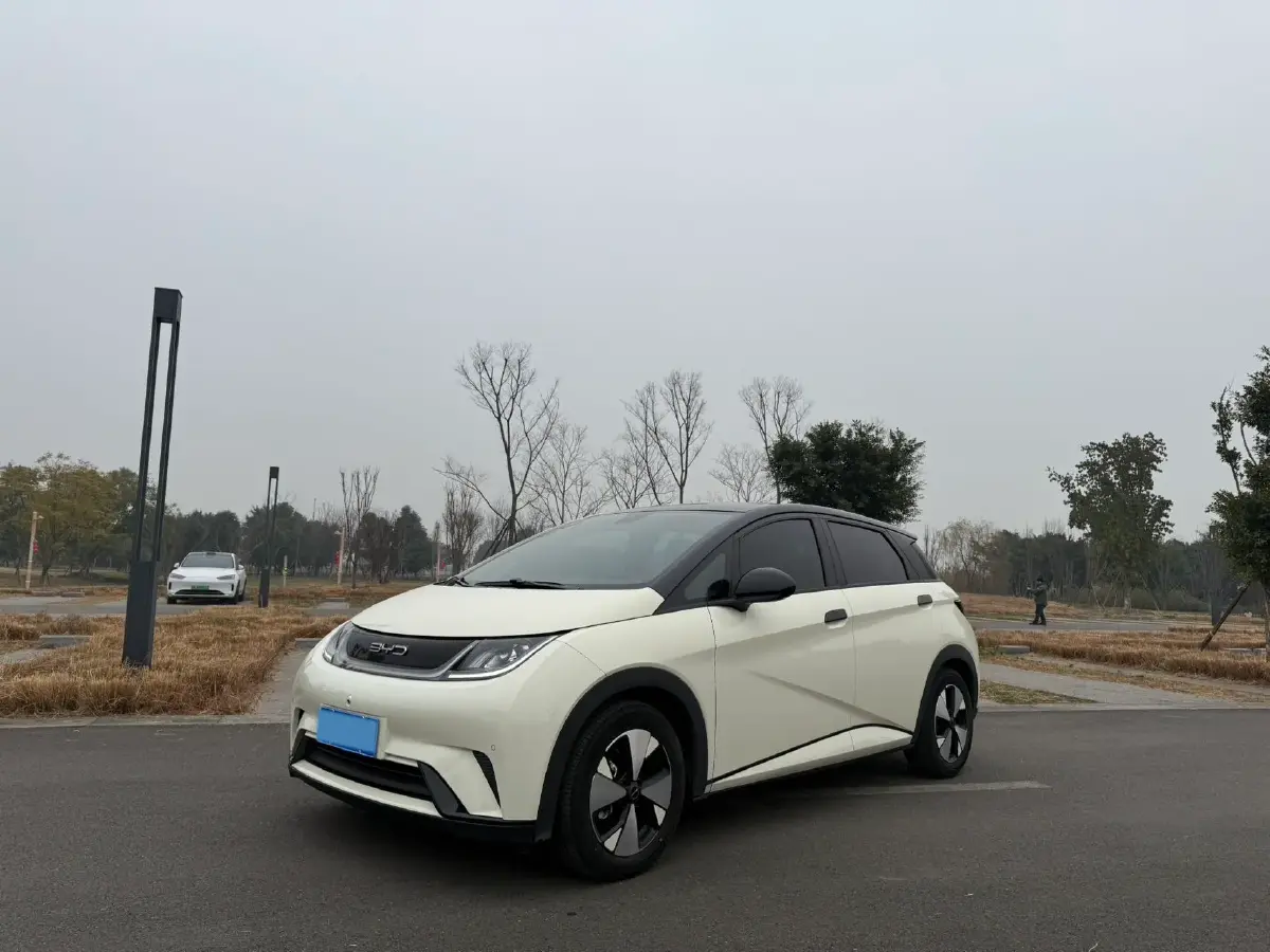 2023 BYD Dolphin BEV 44.928KWH