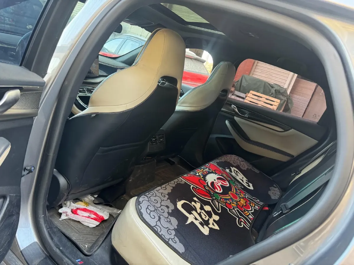 2021 DongFeng FuKang e Elysee BEV 30.7KWH,autocango,china used car exporter,china ev exporter,chinese used car exporter,chinese used ev exporter