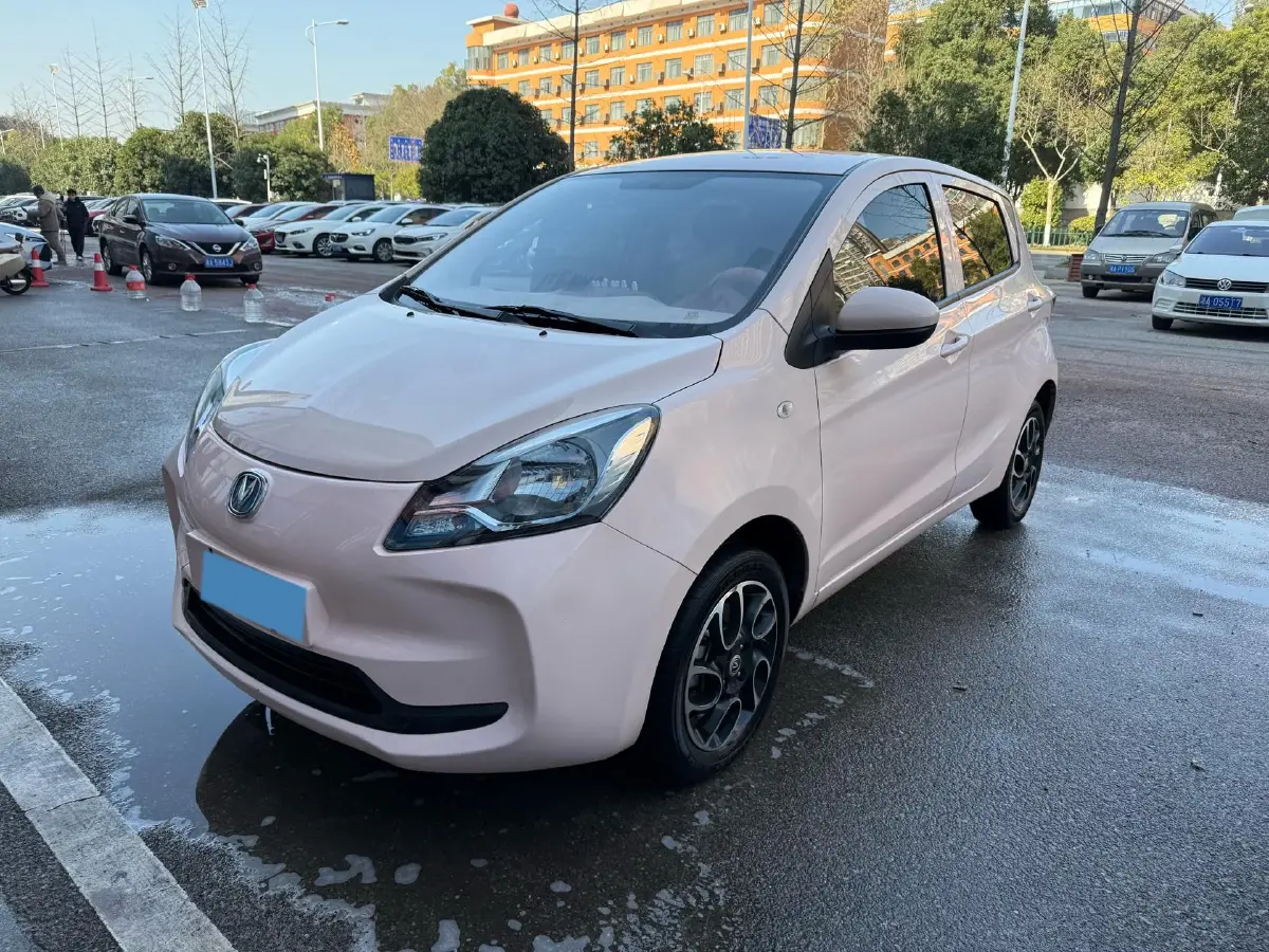 2021 ChangAn BenBen E-Star BEV 31.86KWH