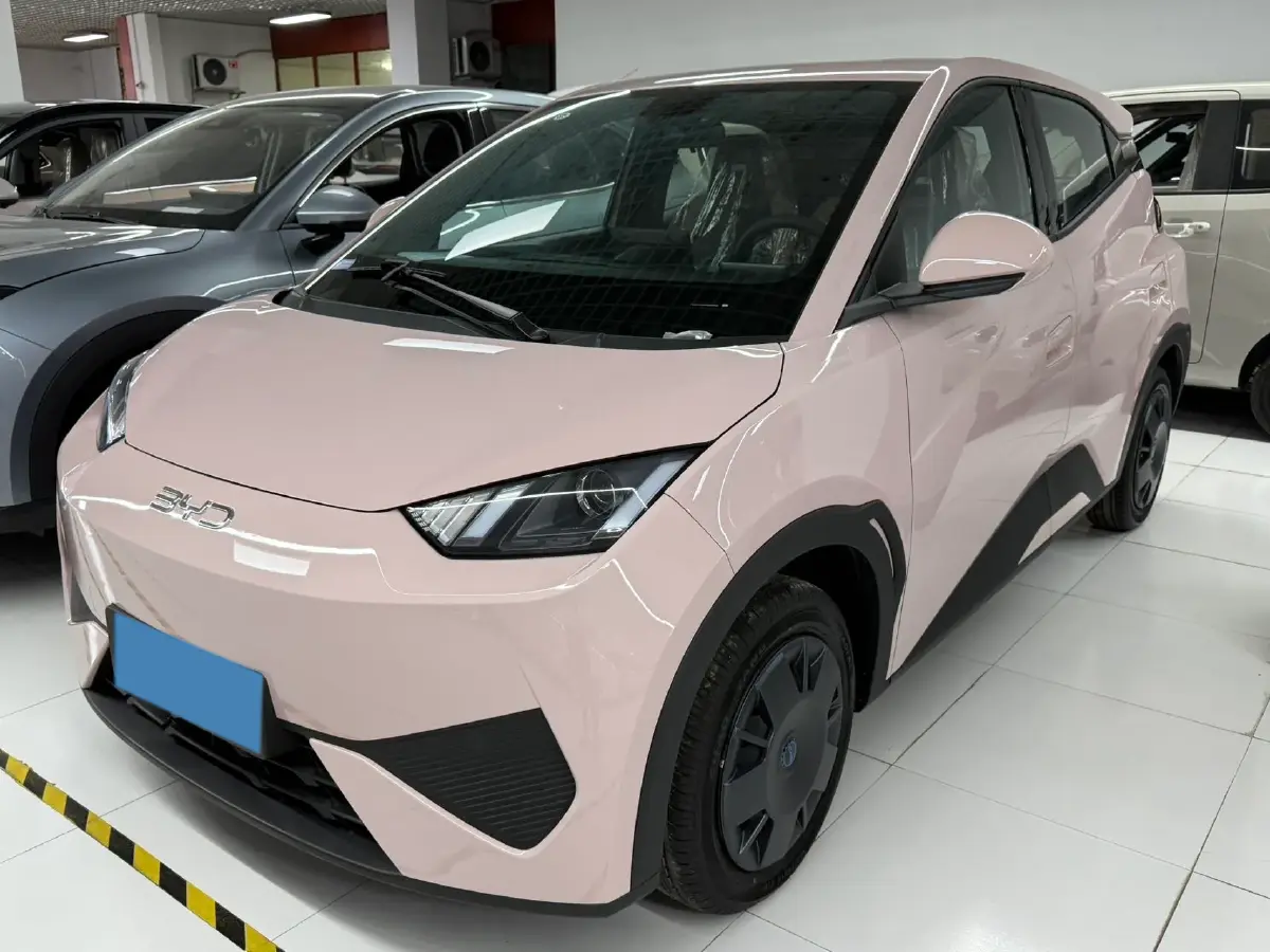 2025 BYD Seagull BEV 30.08KWH