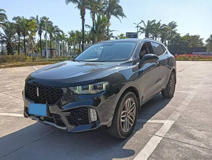 2019 WEY VV5 2.0T 224HP L4 7DCT