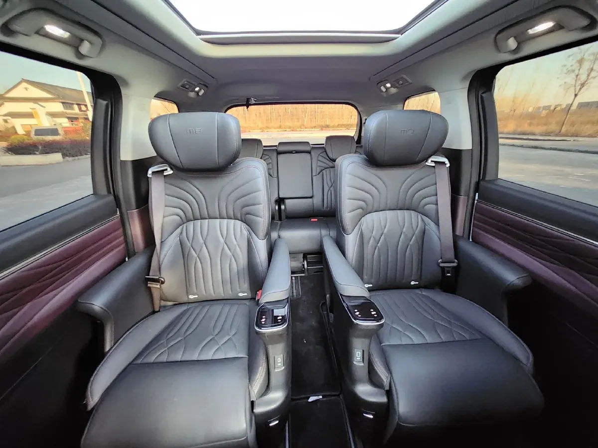 2024 GAC Trumpchi M8 2.0T 252HP L4 8AT,autocango,china used car exporter,china ev exporter,chinese used car exporter,chinese used ev exporter