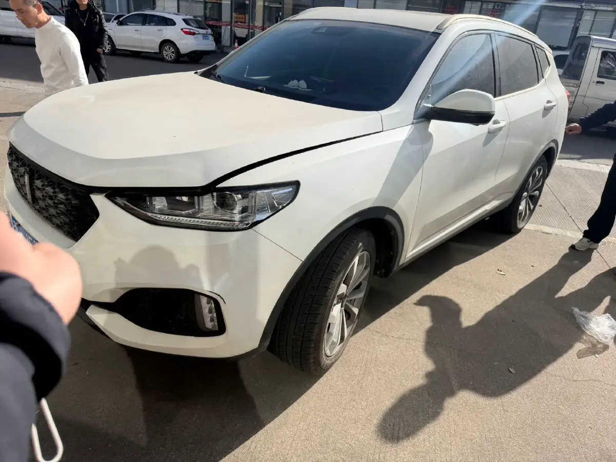 2018 WEY VV6 2.0T 197HP L4 7DCT