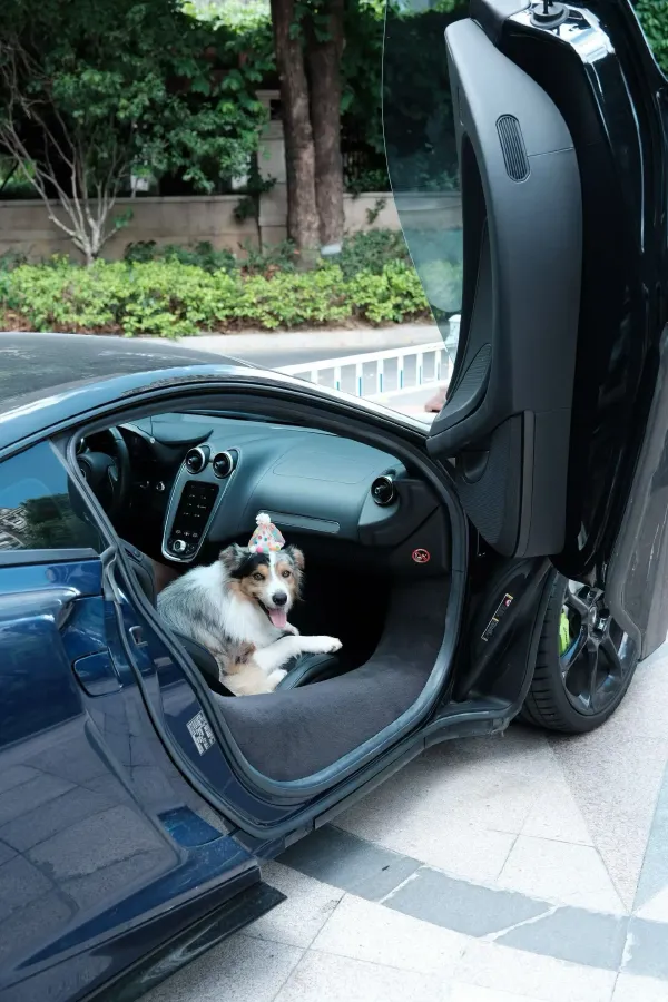 2019 Lorinser MAYBACH S Class 3.0T 367HP V6 9AT,autocango,china used car exporter,china ev exporter,chinese used car exporter,chinese used ev exporter