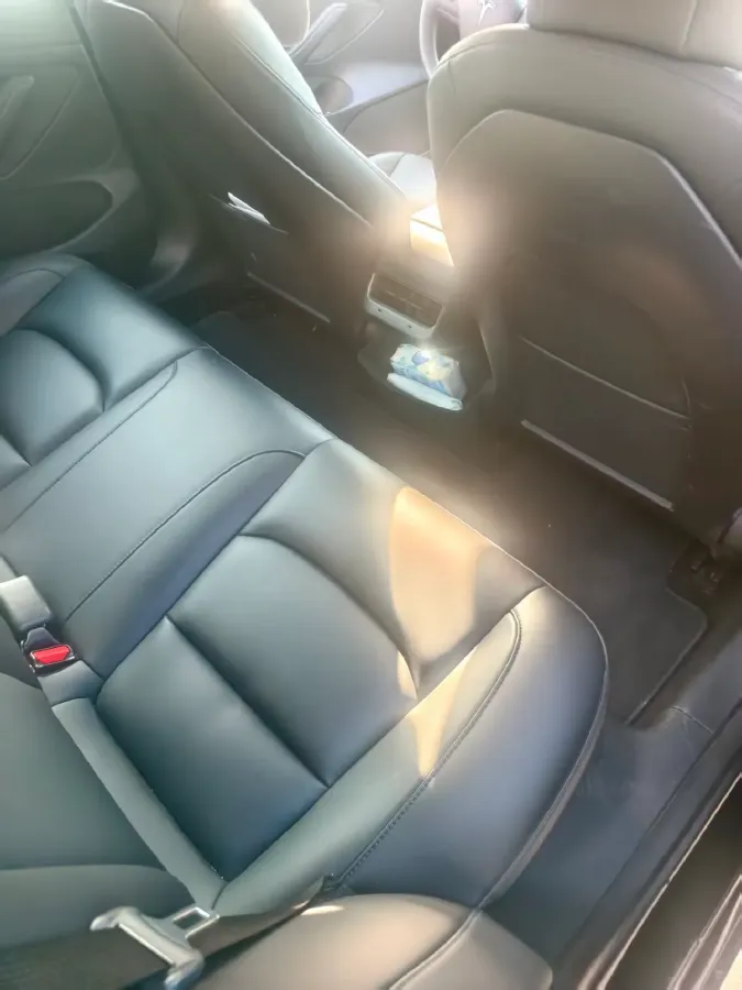 2021 Tesla Model 3 BEV 55KWH,autocango,china used car exporter,china ev exporter,chinese used car exporter,chinese used ev exporter