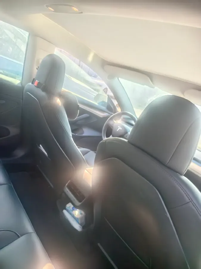 2021 Tesla Model 3 BEV 55KWH,autocango,china used car exporter,china ev exporter,chinese used car exporter,chinese used ev exporter