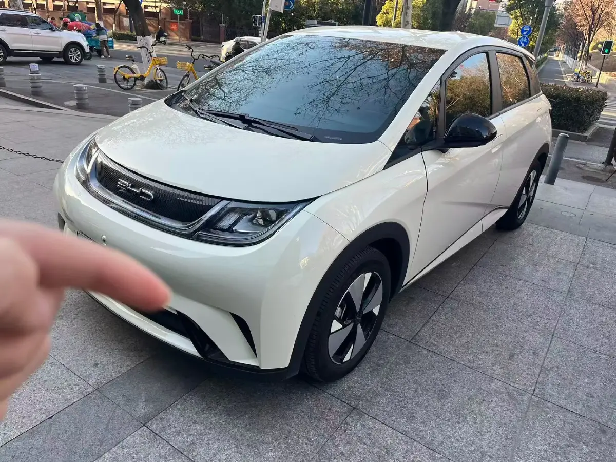 2023 BYD Dolphin BEV 44.928KWH