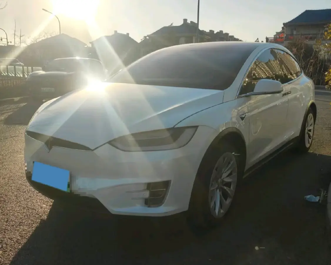 2019 Tesla Model X BEV 100KWH