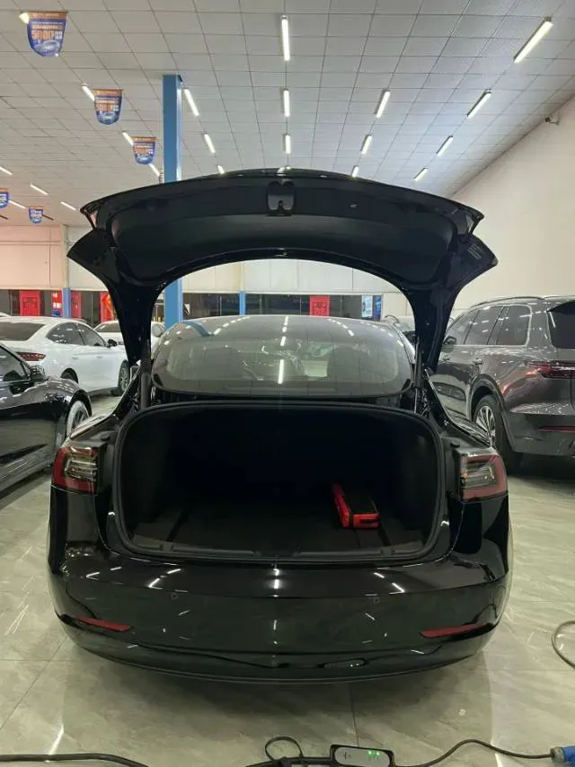 2021 Tesla Model 3 BEV 55KWH,autocango,china used car exporter,china ev exporter,chinese used car exporter,chinese used ev exporter