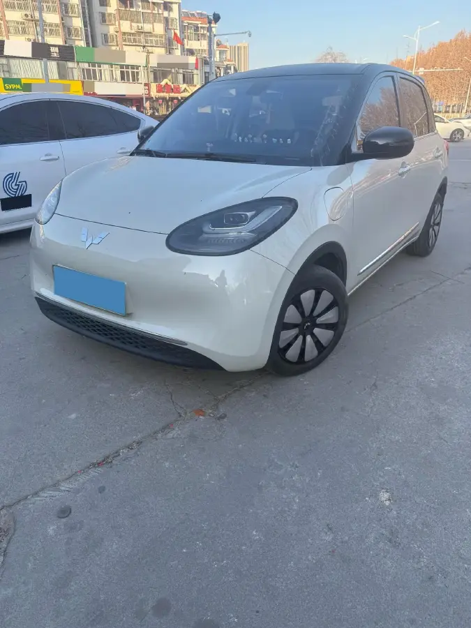 2023 WuLing BinGuo BEV 37.9KWH