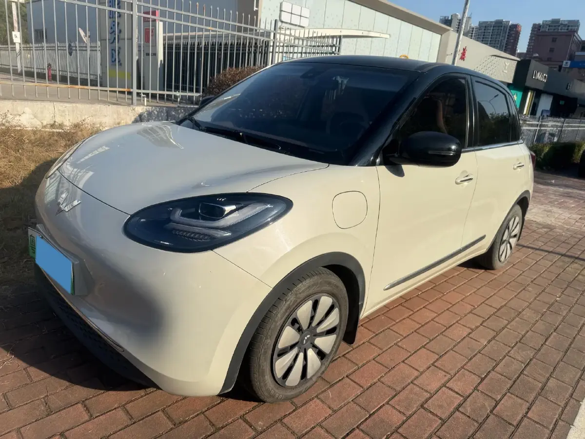 2023 WuLing BinGuo BEV 31.9KWH