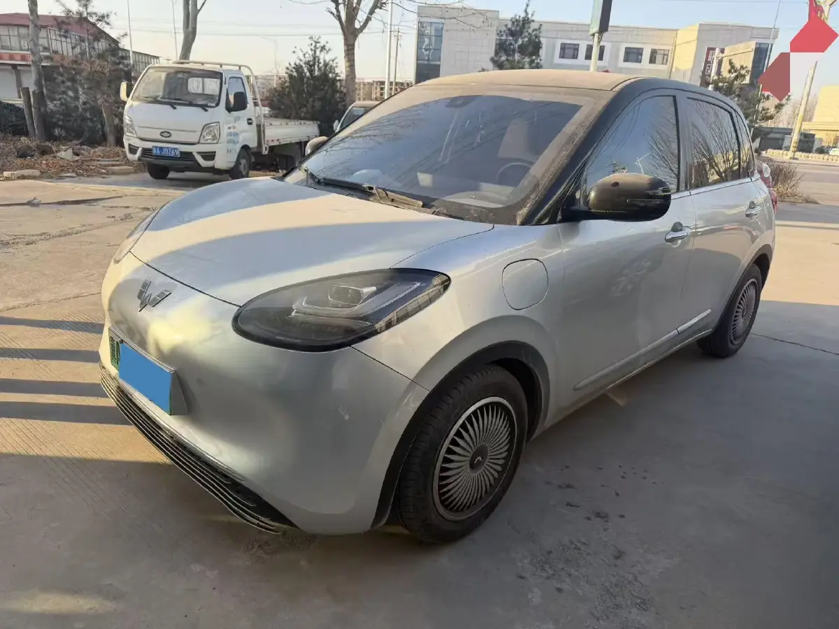2023 WuLing BinGuo BEV 31.9KWH