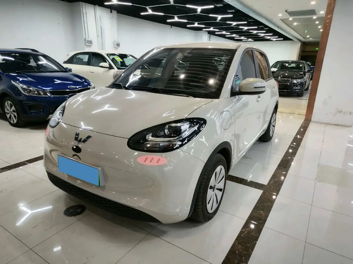 2024 WuLing BinGuo BEV 17.3KWH