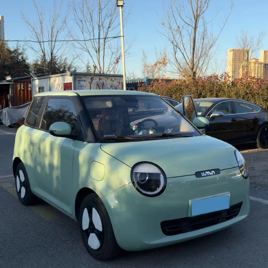 2023 ChangAn QiYuan Lumin BEV 17.65KWH,autocango,china used car exporter,china ev exporter,chinese used car exporter,chinese used ev exporter