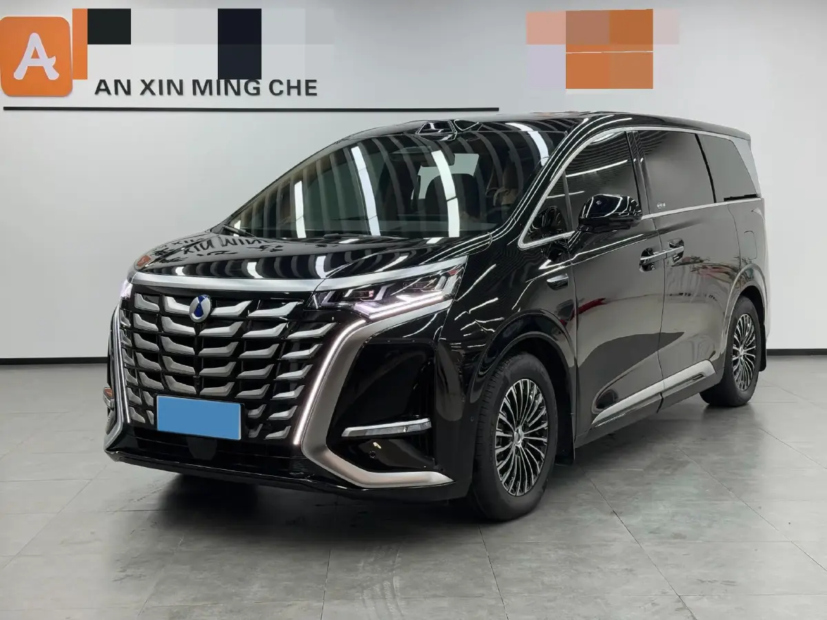 2025 Denza DenzaN9 2.0T 207HP L4 E-CVT PHEV