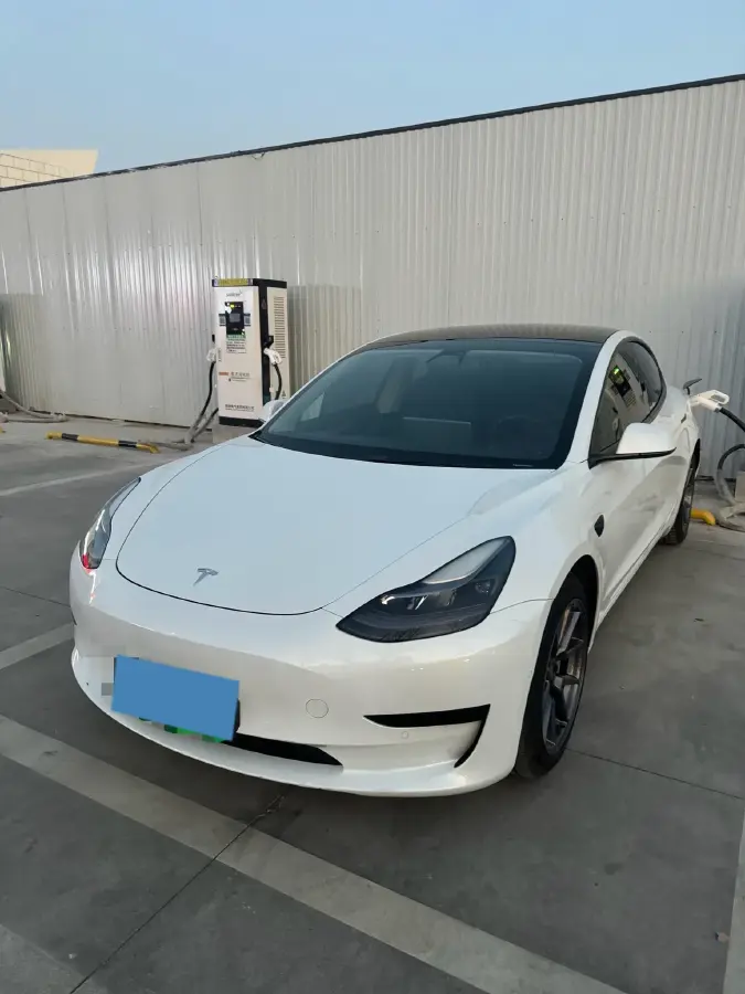 2021 Tesla Model 3 BEV 55KWH