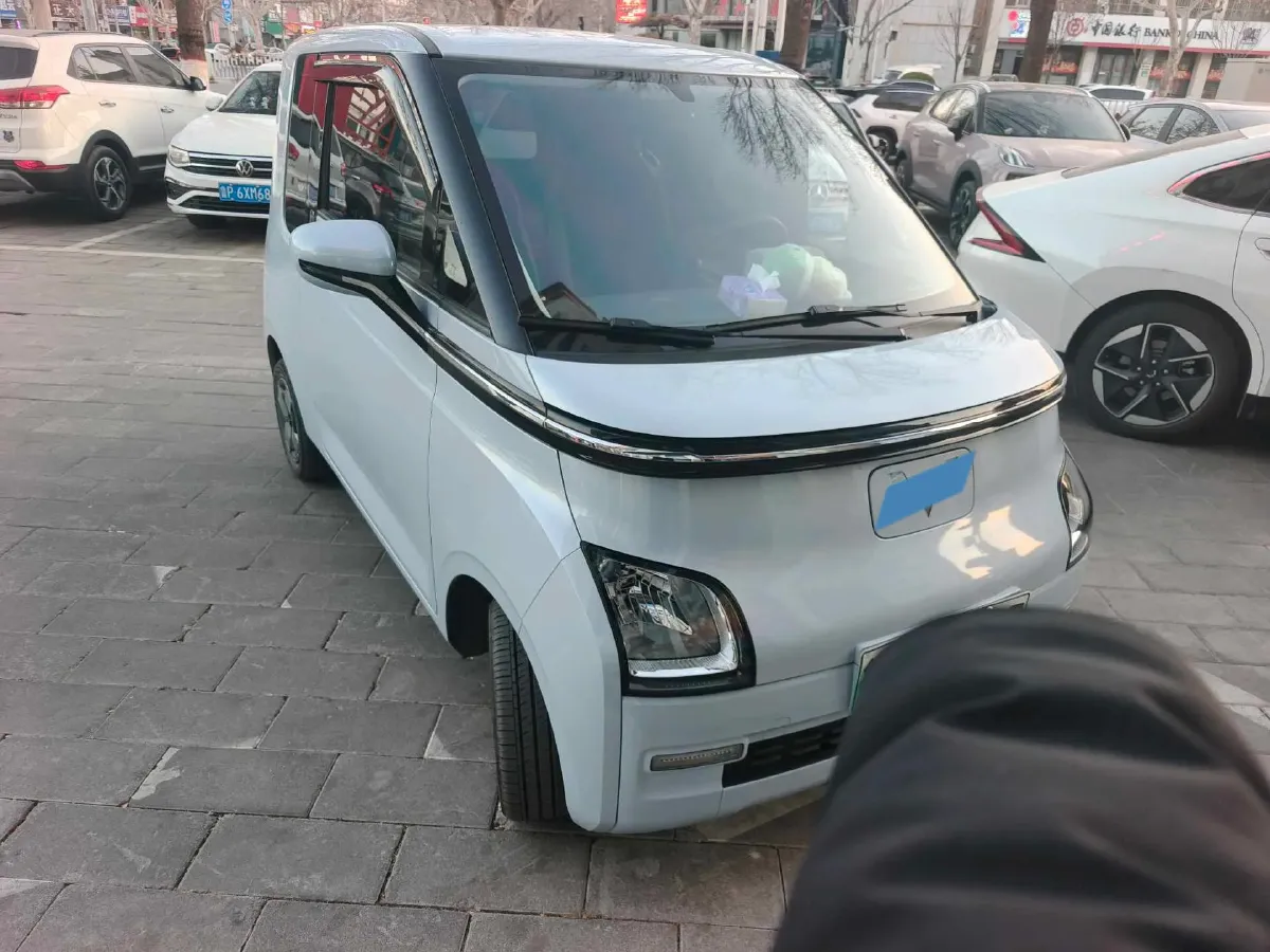 2023 EV House YOUNG BEV 32.56KWH,autocango,china used car exporter,china ev exporter,chinese used car exporter,chinese used ev exporter