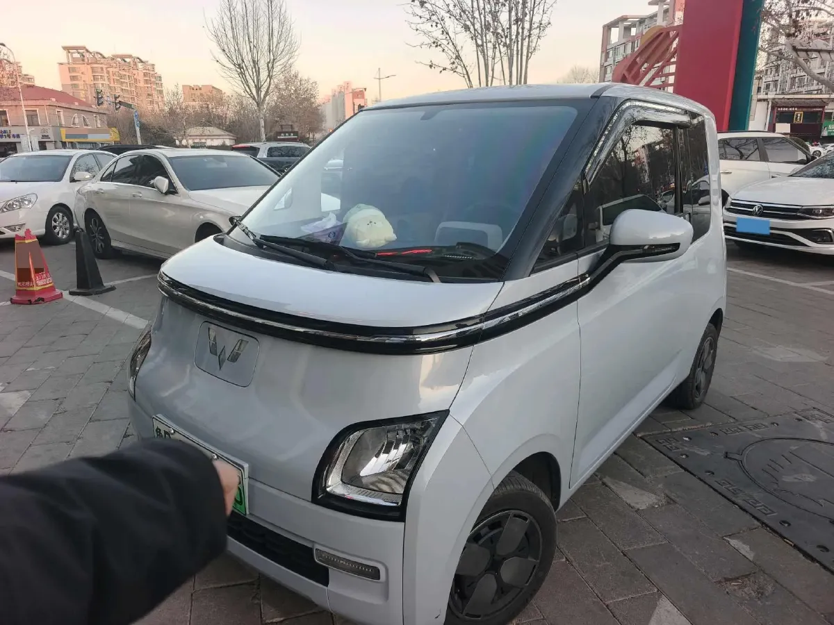2023 EV House YOUNG BEV 32.56KWH,autocango,china used car exporter,china ev exporter,chinese used car exporter,chinese used ev exporter