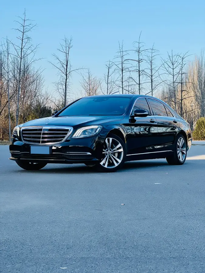 2020 Mercedes-Benz S Class 3.0T 299HP L6 9AT