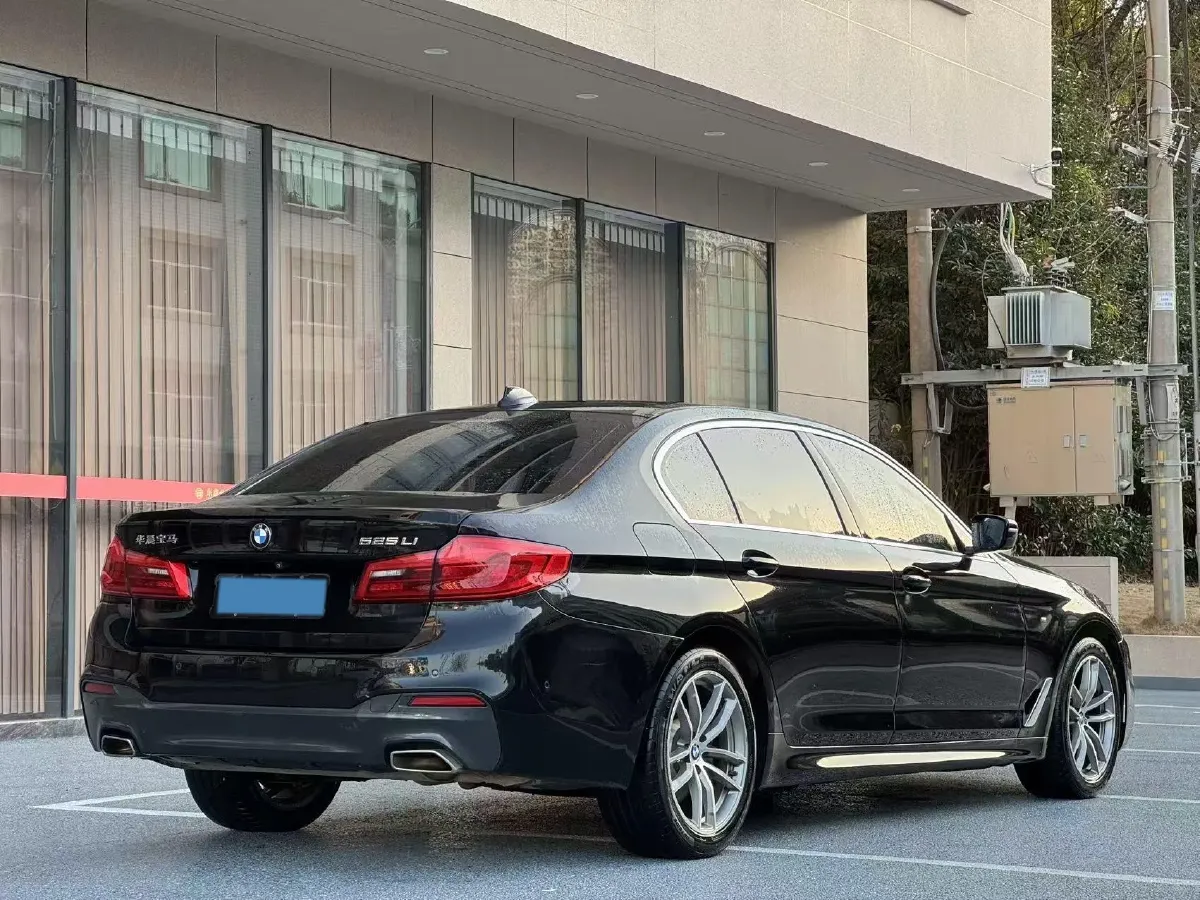2020 BMW 5 Series 2.0T 184HP L4 8AT,autocango,china used car exporter,china ev exporter,chinese used car exporter,chinese used ev exporter