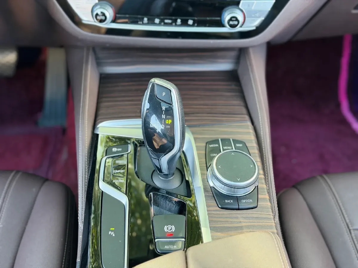 2020 BMW 5 Series 2.0T 184HP L4 8AT,autocango,china used car exporter,china ev exporter,chinese used car exporter,chinese used ev exporter