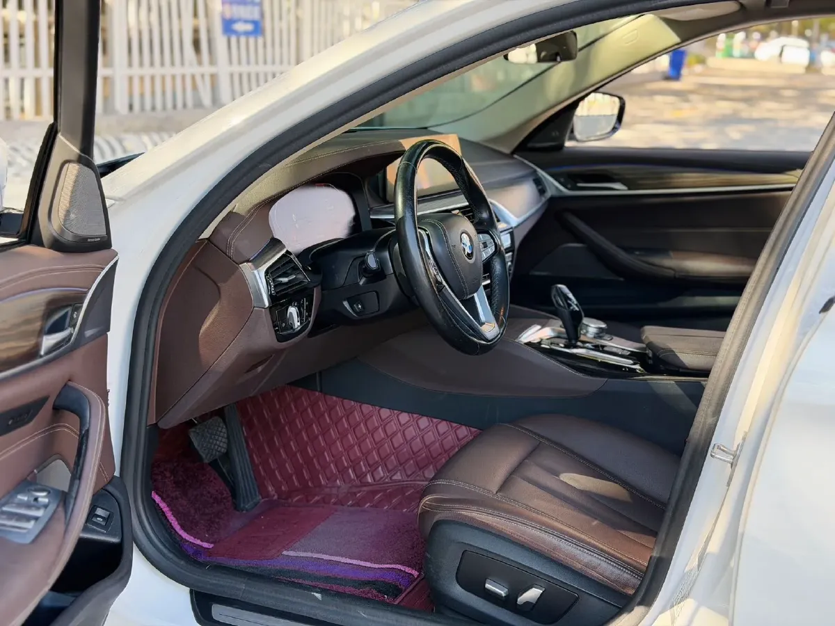 2020 BMW 5 Series 2.0T 184HP L4 8AT,autocango,china used car exporter,china ev exporter,chinese used car exporter,chinese used ev exporter