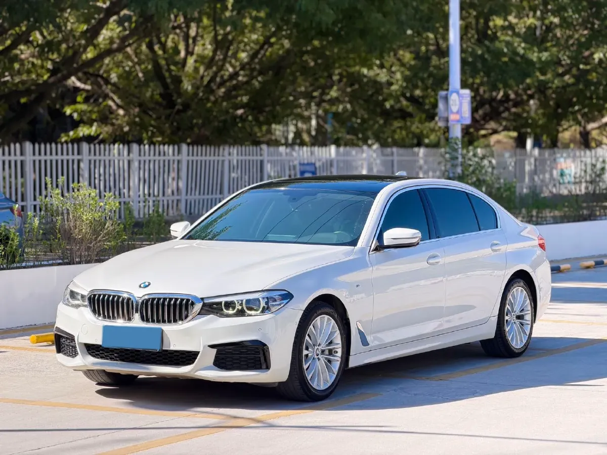 2020 BMW 5 Series 2.0T 184HP L4 8AT,autocango,china used car exporter,china ev exporter,chinese used car exporter,chinese used ev exporter