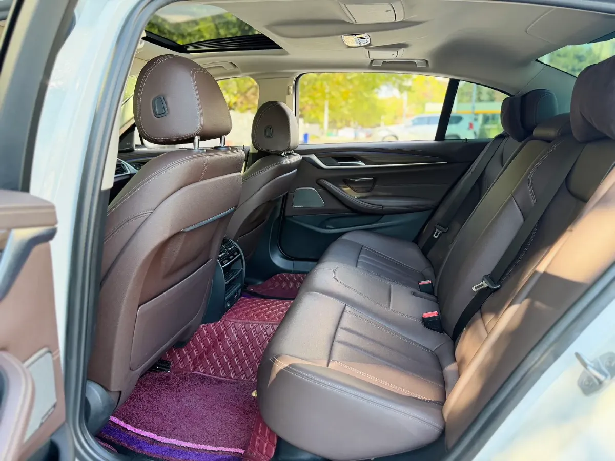 2020 BMW 5 Series 2.0T 184HP L4 8AT,autocango,china used car exporter,china ev exporter,chinese used car exporter,chinese used ev exporter