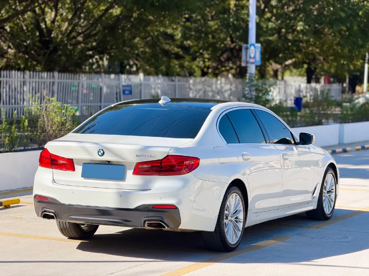 2020 BMW 5 Series 2.0T 184HP L4 8AT,autocango,china used car exporter,china ev exporter,chinese used car exporter,chinese used ev exporter