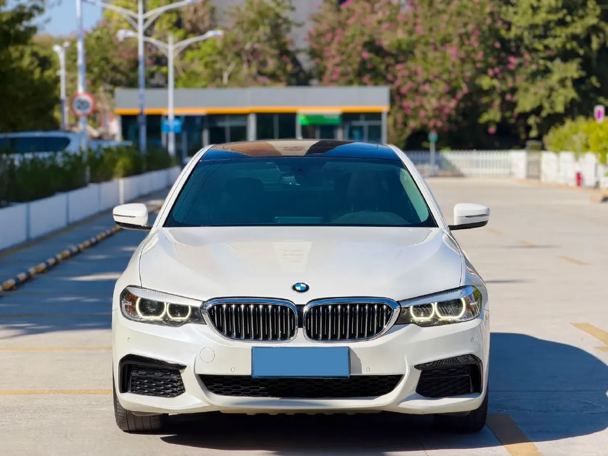 2020 BMW 5 Series 2.0T 184HP L4 8AT,autocango,china used car exporter,china ev exporter,chinese used car exporter,chinese used ev exporter