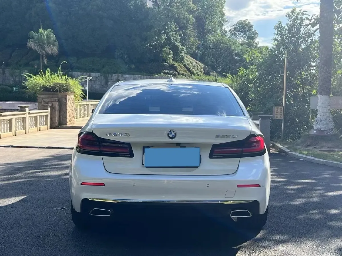 2022 BMW 5 Series 2.0T 184HP L4 8AT,autocango,china used car exporter,china ev exporter,chinese used car exporter,chinese used ev exporter