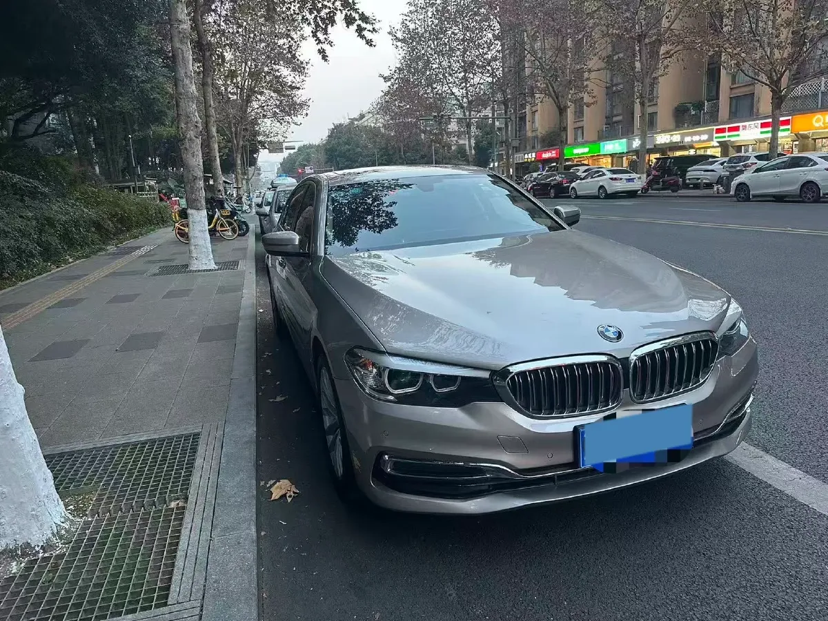 2020 BMW 5 Series 2.0T 184HP L4 8AT,autocango,china used car exporter,china ev exporter,chinese used car exporter,chinese used ev exporter