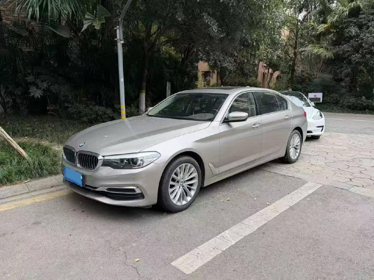 2020 BMW 5 Series 2.0T 184HP L4 8AT,autocango,china used car exporter,china ev exporter,chinese used car exporter,chinese used ev exporter