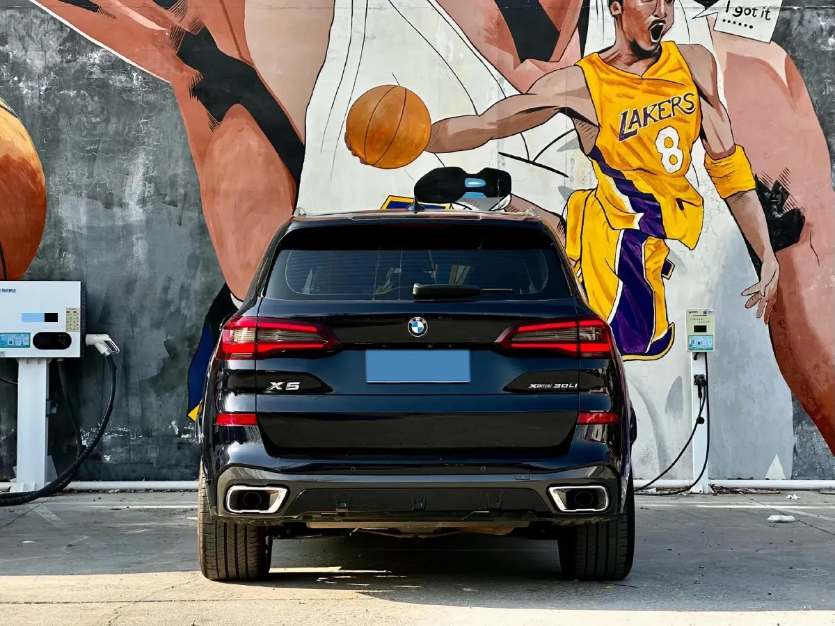 2022 BMW X5 2.0T 245HP L4 8AT,autocango,china used car exporter,china ev exporter,chinese used car exporter,chinese used ev exporter