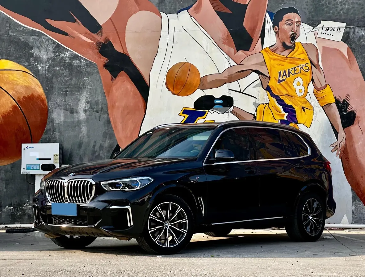 2022 BMW X5 2.0T 245HP L4 8AT,autocango,china used car exporter,china ev exporter,chinese used car exporter,chinese used ev exporter