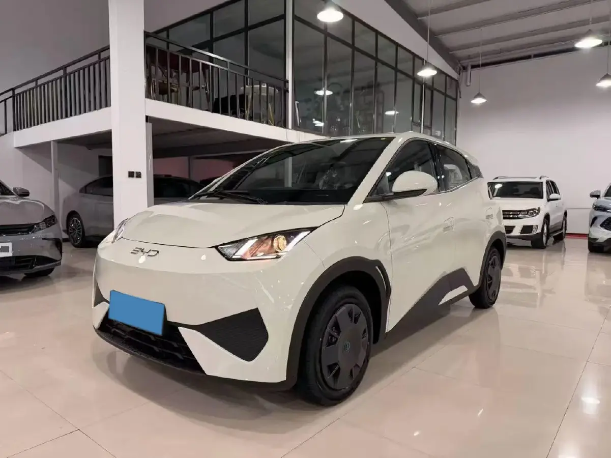 2025 BYD Seagull BEV 30.08KWH