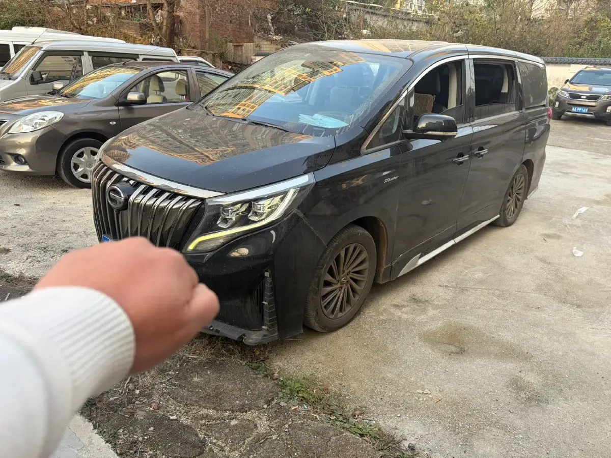 2021 GAC Trumpchi M8 2.0T 252HP L4 8AT