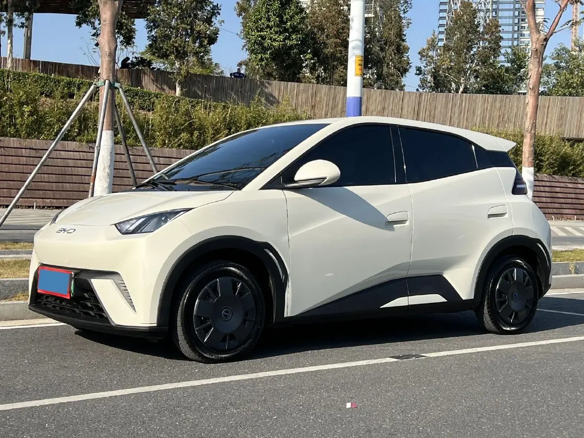 2024 BYD Seagull BEV 30.08KWH