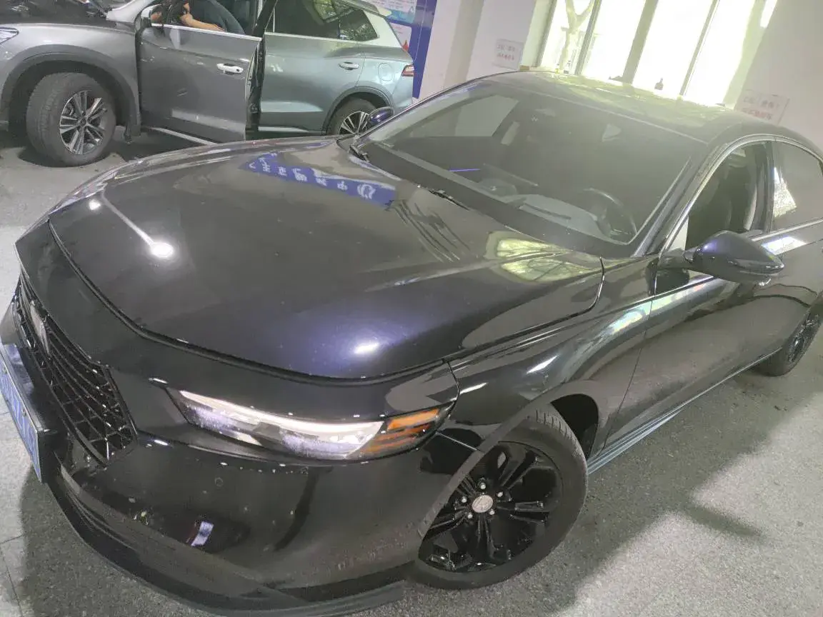 2023 Dongfeng PaLaSuo 2.0T 228HP L4 8AT