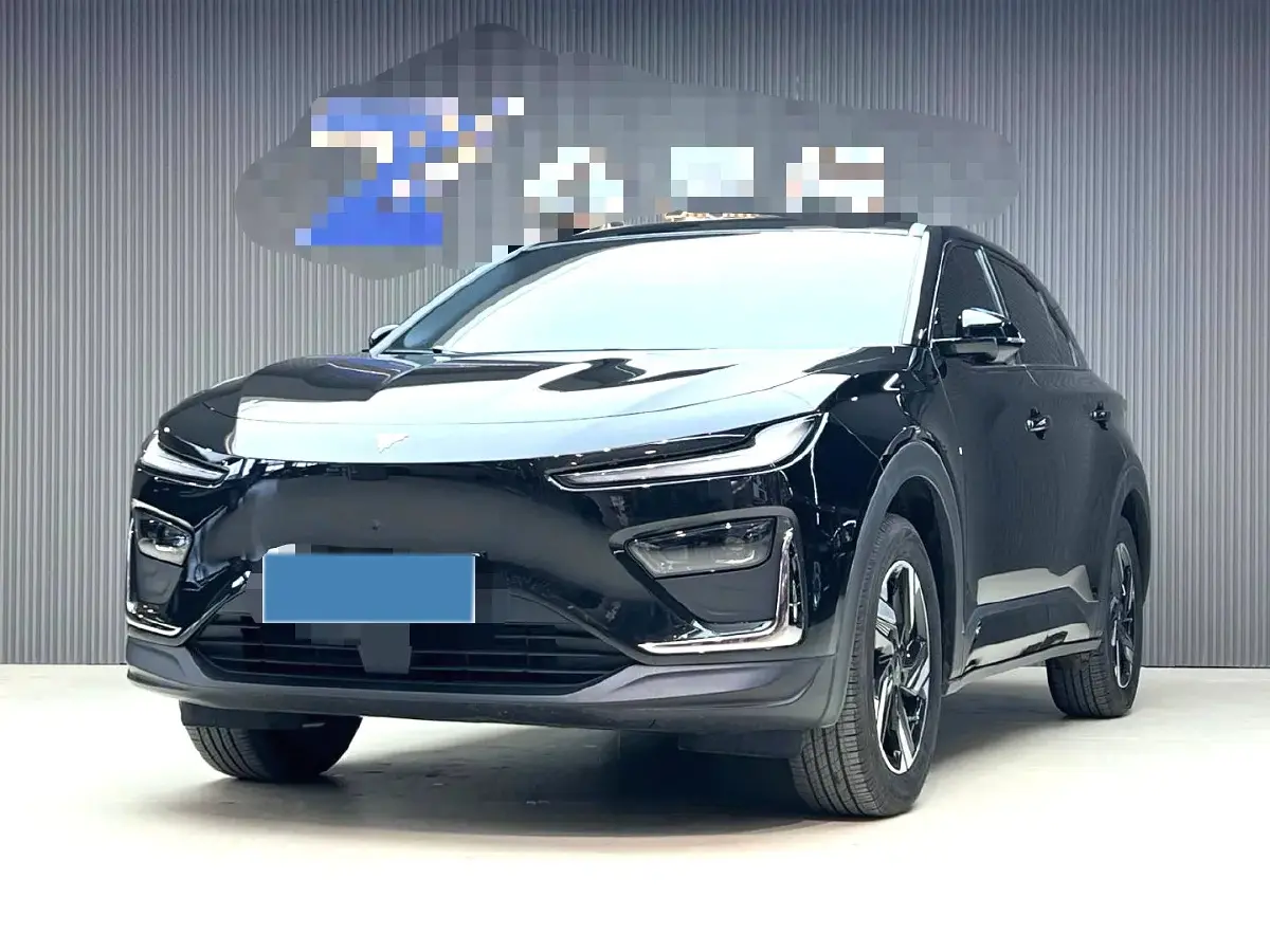 2025 Neta X BEV 63.5KWH