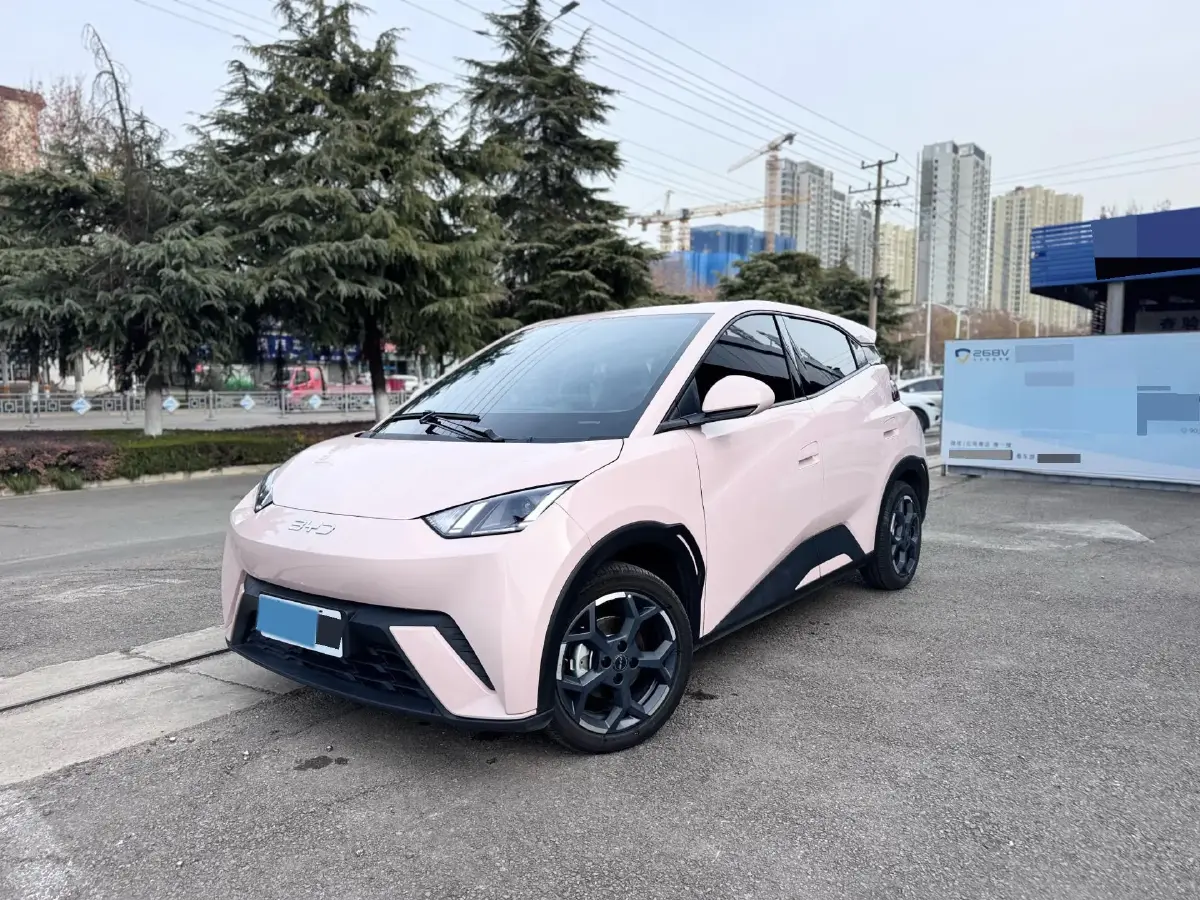 2025 BYD Seagull BEV 30.08KWH