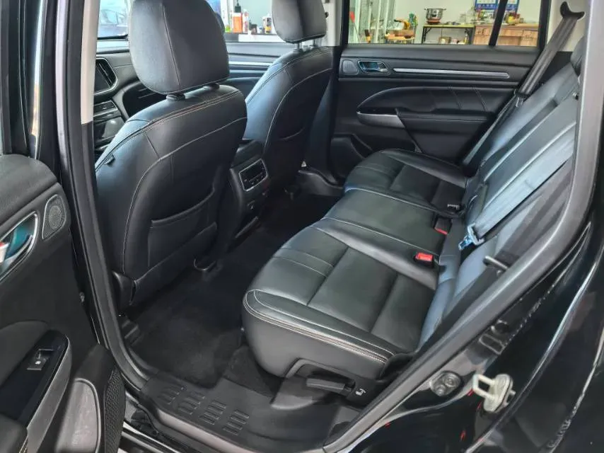 2019 GAC Trumpchi GS8 2.0T 252HP L4 6AT,autocango,china used car exporter,china ev exporter,chinese used car exporter,chinese used ev exporter