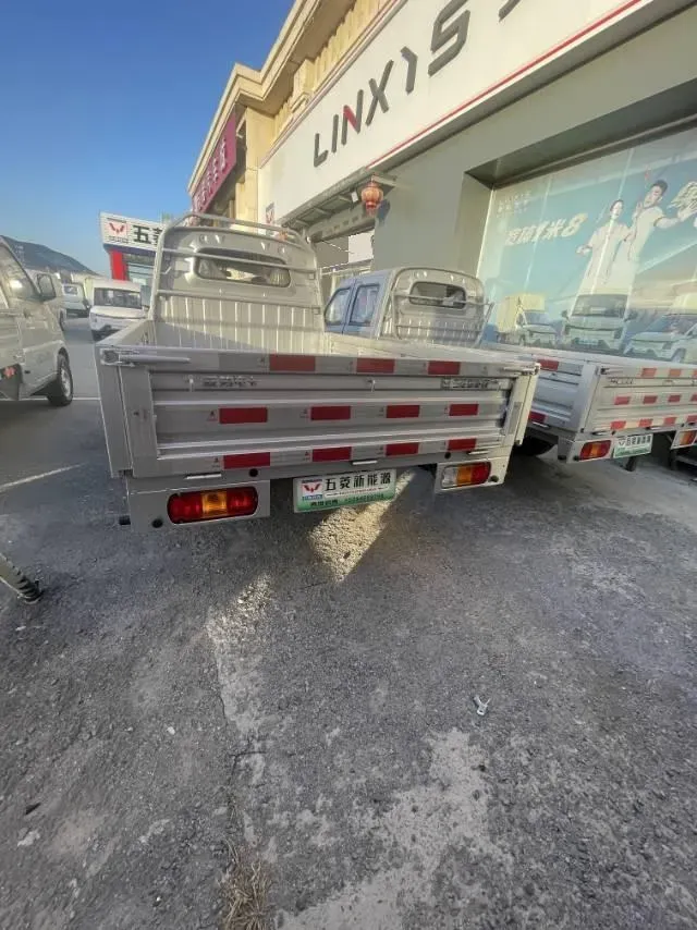 2024 WuLing BinGuoPLUS BEV 31.9KWH,autocango,china used car exporter,china ev exporter,chinese used car exporter,chinese used ev exporter