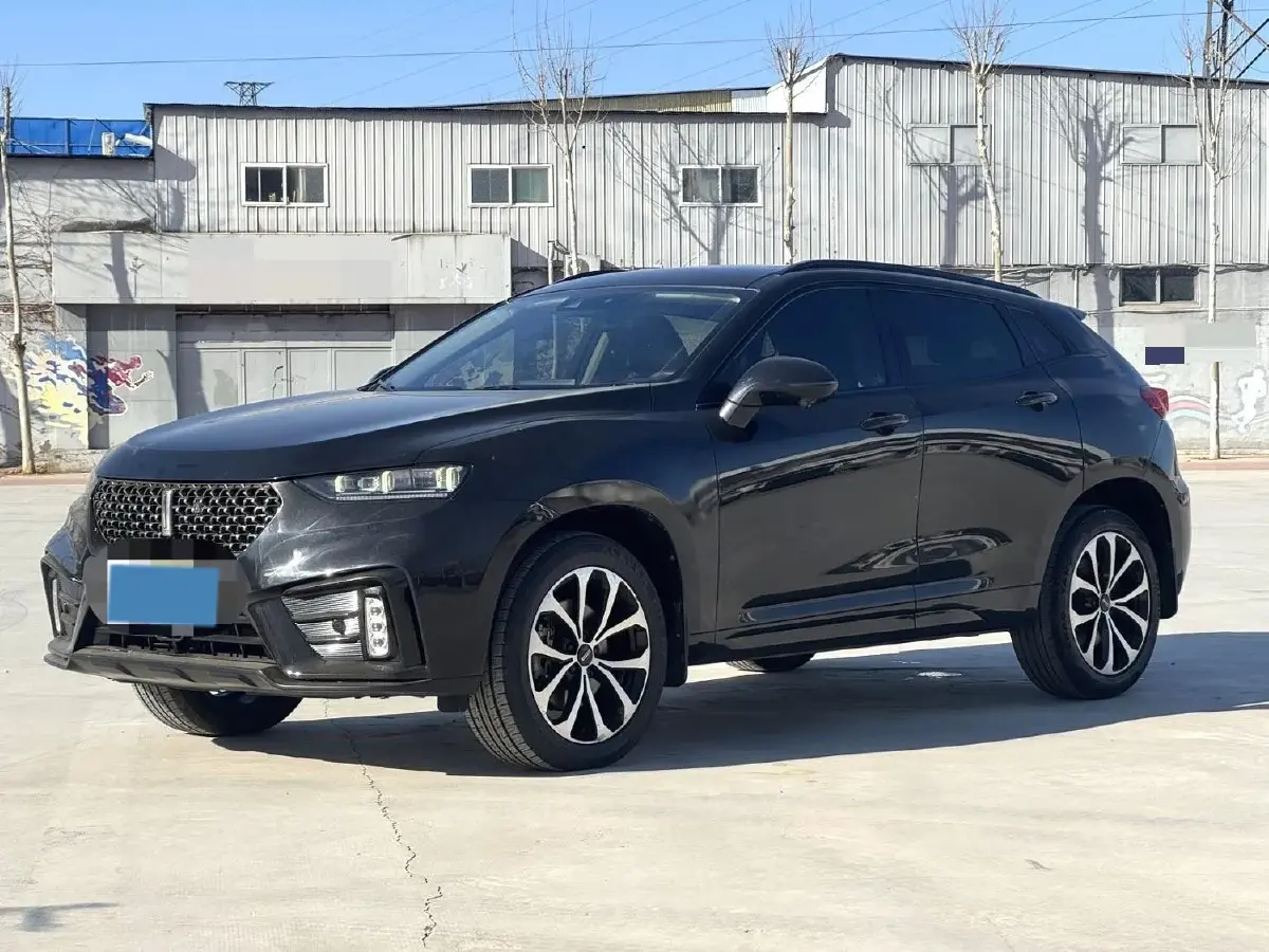 2020 WEY VV7 2.0T 227HP L4 7DCT