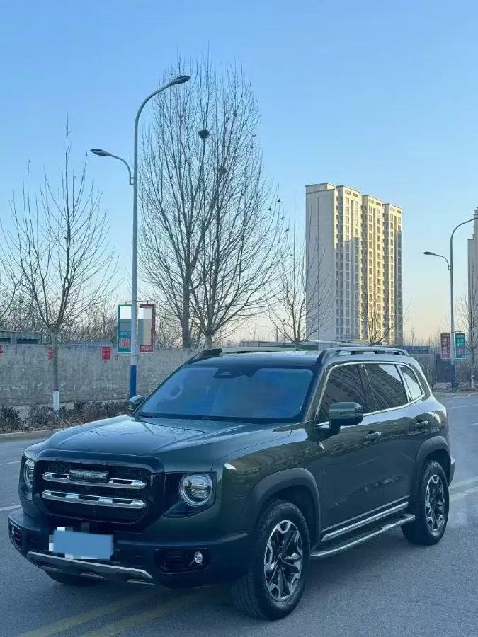 2022 Haval Dargo 2.0T 211HP L4 7DCT,autocango,china used car exporter,china ev exporter,chinese used car exporter,chinese used ev exporter