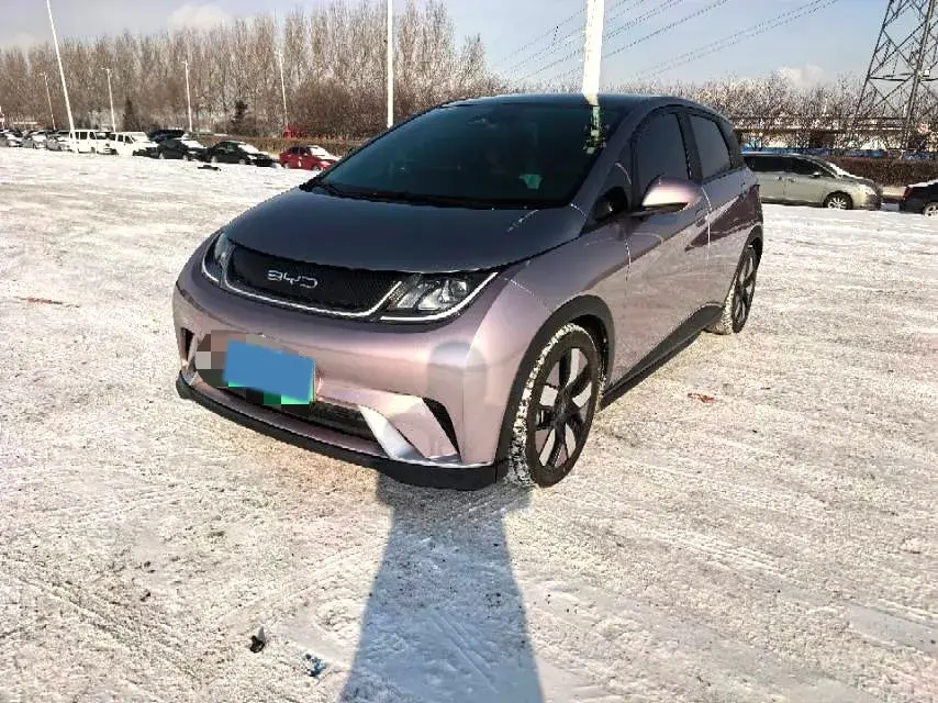 2021 BYD e2 BEV 43.2KWH